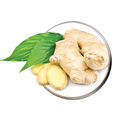 خرید ادویه از سایت ادویه چاشنیکا
