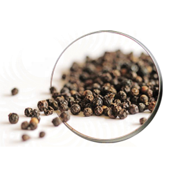 فروش ادویه جات