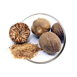 سایت ادویه