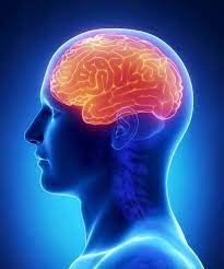 black pepper and brain health